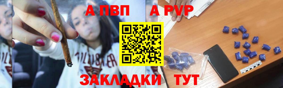 A PVP СК Саранск