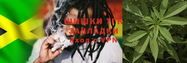 спайс Михайлов