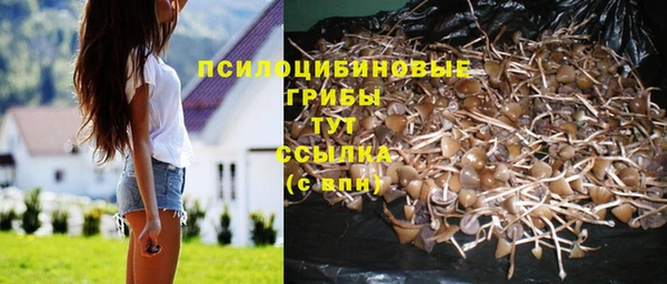 соль курить ск Михайловка