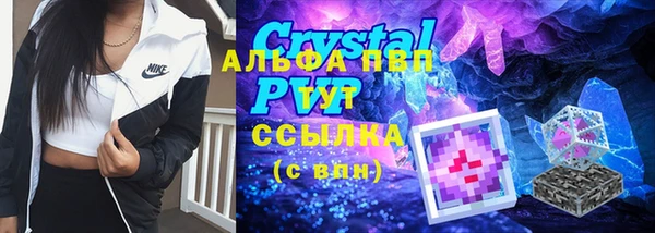 спайс Михайлов
