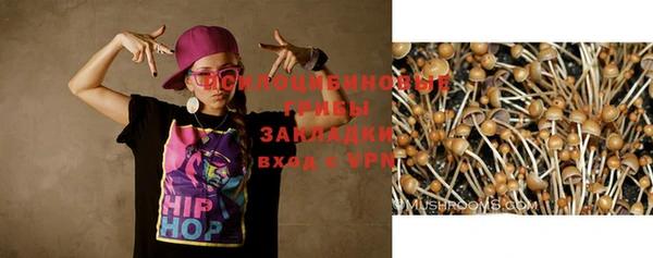 соль курить ск Михайловка