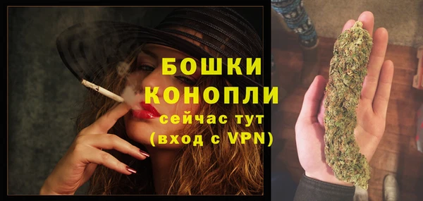 спайс Михайлов