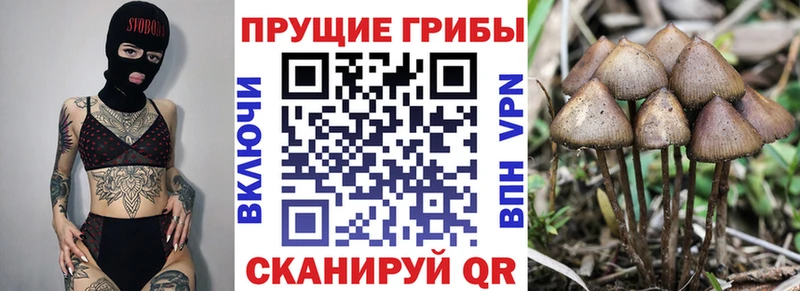 Галлюциногенные грибы ЛСД Саранск