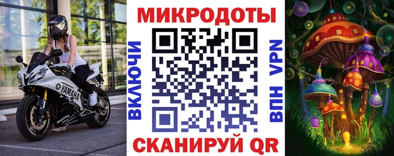 ОМГ ОМГ   купить наркоту  Саранск  Галлюциногенные грибы Psilocybe 