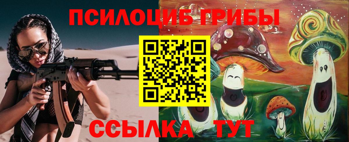 что такое   Галлюциногенные грибы Psilocybe  Вход с VPN  Саранск  Галлюциногенные грибы MAGIC MUSHROOMS 