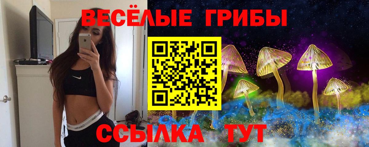 Галлюциногенные грибы MAGIC MUSHROOMS Саранск