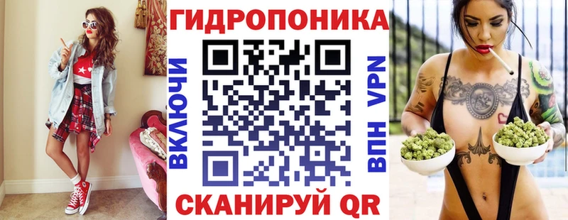 кракен зеркало  Саранск  Конопля гибрид  как найти наркотики 